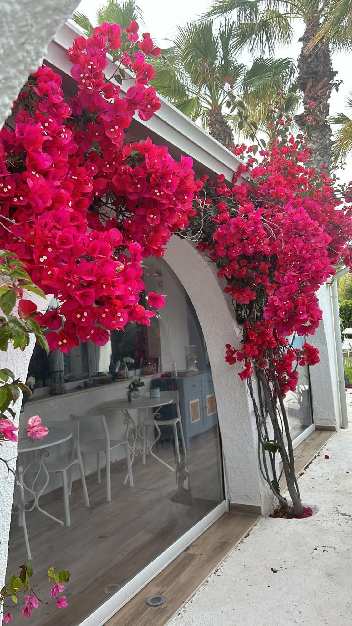 Bed and Breakfast La Casa Di Nina La Maddalena  Экстерьер фото
